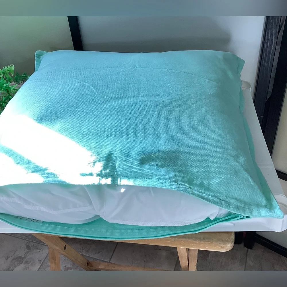 Ikea Mint Green Throw Pillow/cushion insert and cover 20” x 20”